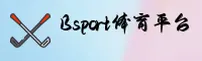 BSports官网(BSports.COM)入口